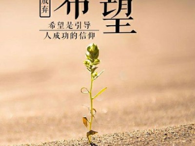 以女神养成计划（打造自信、美丽、优雅的女神气质，学会正确的心态调整）