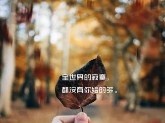 寂寞的触碰（以简洁的句子，深入人心）