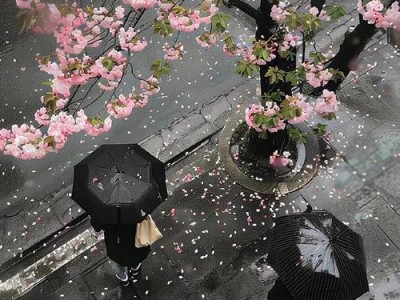生命短暂，刹那即逝——探索生命的意义与价值