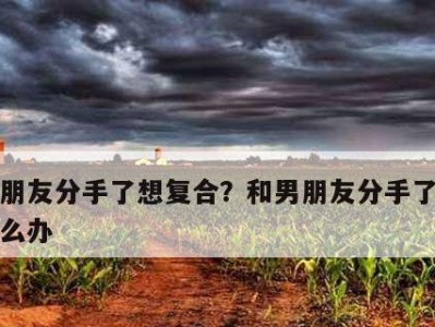 男友不愿意和我复合，该如何应对？（学会放手，寻找新的方向）