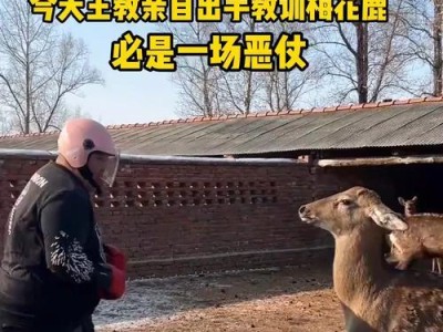 怎样教训动手的老公（有效应对家庭暴力）