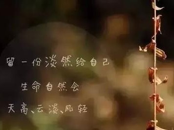 生命脆弱，珍惜当下（感慨人的有限时间，提醒珍视生命）