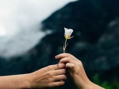 挽回死心了的感情（如何重燃爱的火焰）