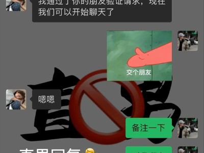 追女孩聊天技巧大揭秘（从开场白到聊天话题，教你轻松追到心仪女孩）