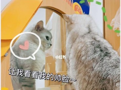 以爱照镜子（以爱照镜子的危害与预防措施）
