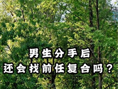 挽回前男友的心，赢回爱情（如何应对前男友和他新欢的挑战？——挽回爱情的秘密）