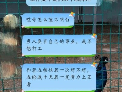如何挽回男友的心？（以男朋友要和我分手为例的情感挽救策略）