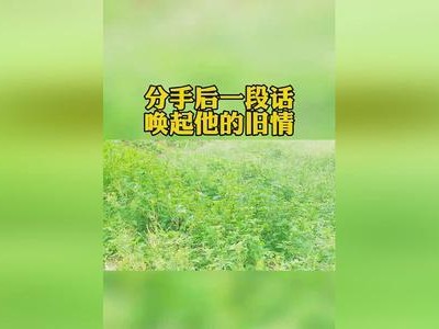 如何用分手挽回爱情？（从心态到行动，全方位提高挽回成功率）