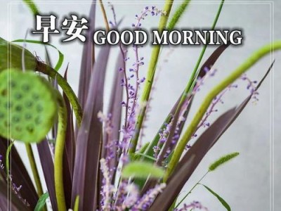以2023追女孩早安暖心语录，让你的早安更有用（15条让女孩心动的早安暖心语录，）