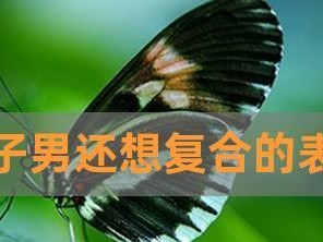 男生分手后又主动要求复合的心理揭秘（探究男生分手后要求复合的原因与内心变化，分析复合的前景和建议）