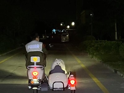 和男友吵架怎么办？（15个建议让你恢复关系）