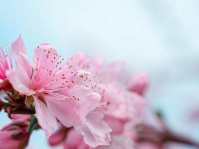 测一测最近的桃花运如何（通过以下15个方面评估你的恋爱运势）