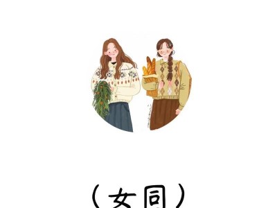如何挽回女友？（成功的关键在哪里？主题）