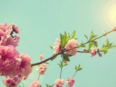 测一测你的桃花运如何？